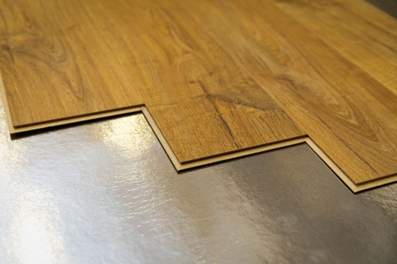 Laminate Floor Replacement in Wimauma, FL